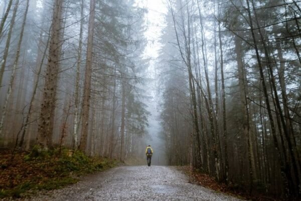Choosing the Path