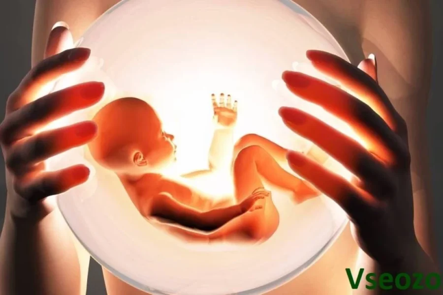 Religion and Controversy: When Does Life Begin? Abortion and Contraceptives