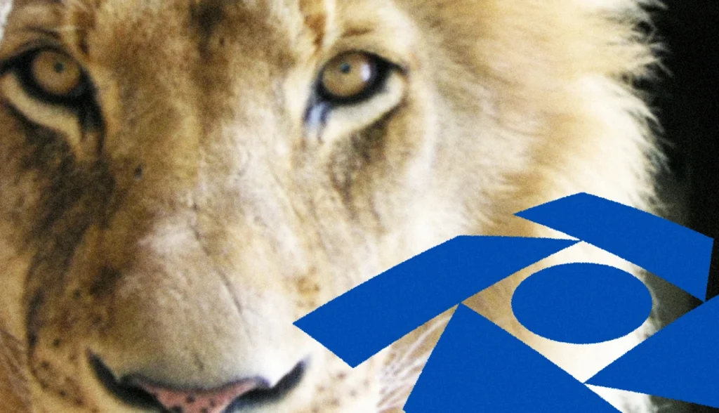 ¿Tarde con la Declaración de la Renta 2024? ¡Vea qué hacer AHORA!