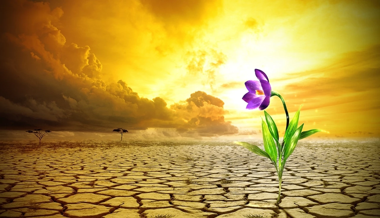 Eclesiastes 3 Para Tudo Há Uma Temporada Eclesiastes 3 Para Tudo Há Uma Temporada