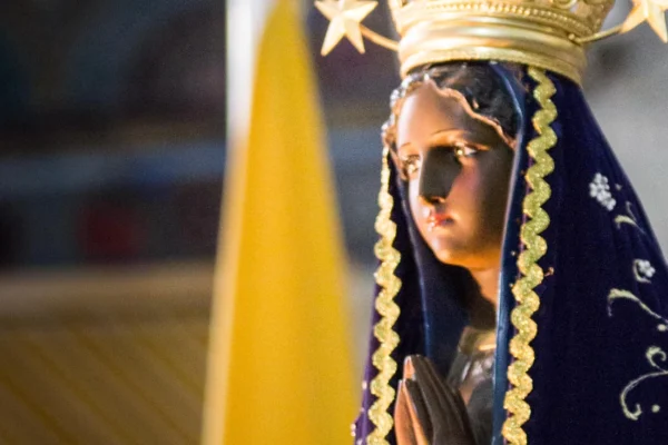 El Santuario de Aparecida recibe a una multitud en fiesta