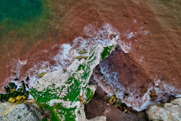 Desvendando o Salmo 11