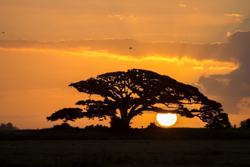 Salmo 3 conforto em tempos difíceis