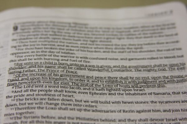 All about the Book of Romans