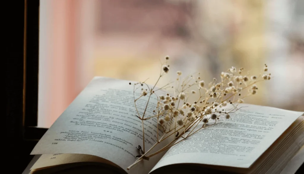 Descobrindo a Força da Justiça Divina em Meio ao Sofrimento