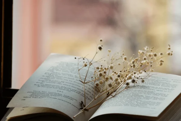 Discovering the Power of Divine Justice in the Midst of Suffering