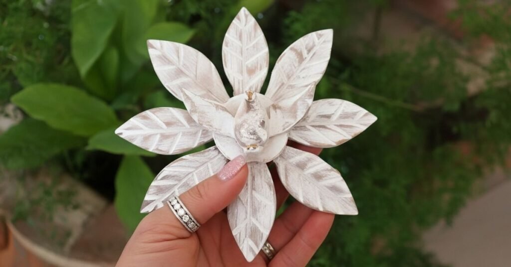 Divino Espírito Santo em Madeira