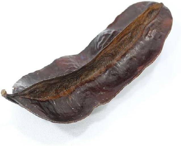 Fava De Aridan Africana Original Unidade Rituais Religiosos Fava de Aridan Africana