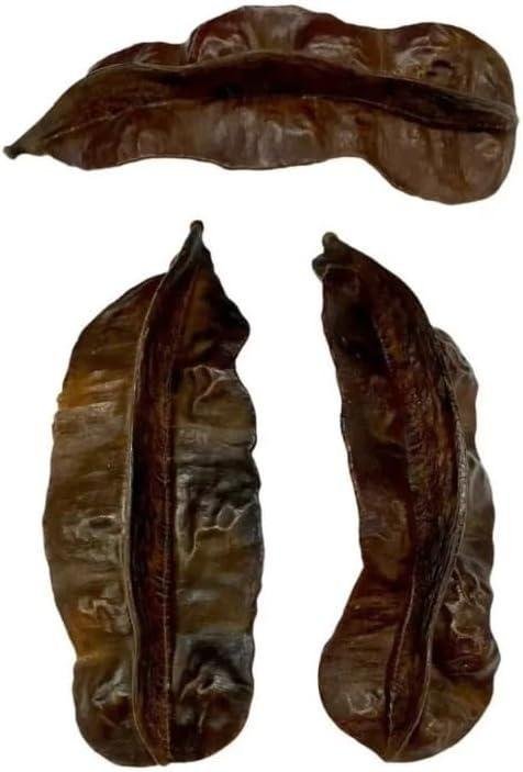 Fava De Aridan Africana Original Unidade Rituais Religiosos Fava De Aridan Africana Original Unidade Rituais Religiosos