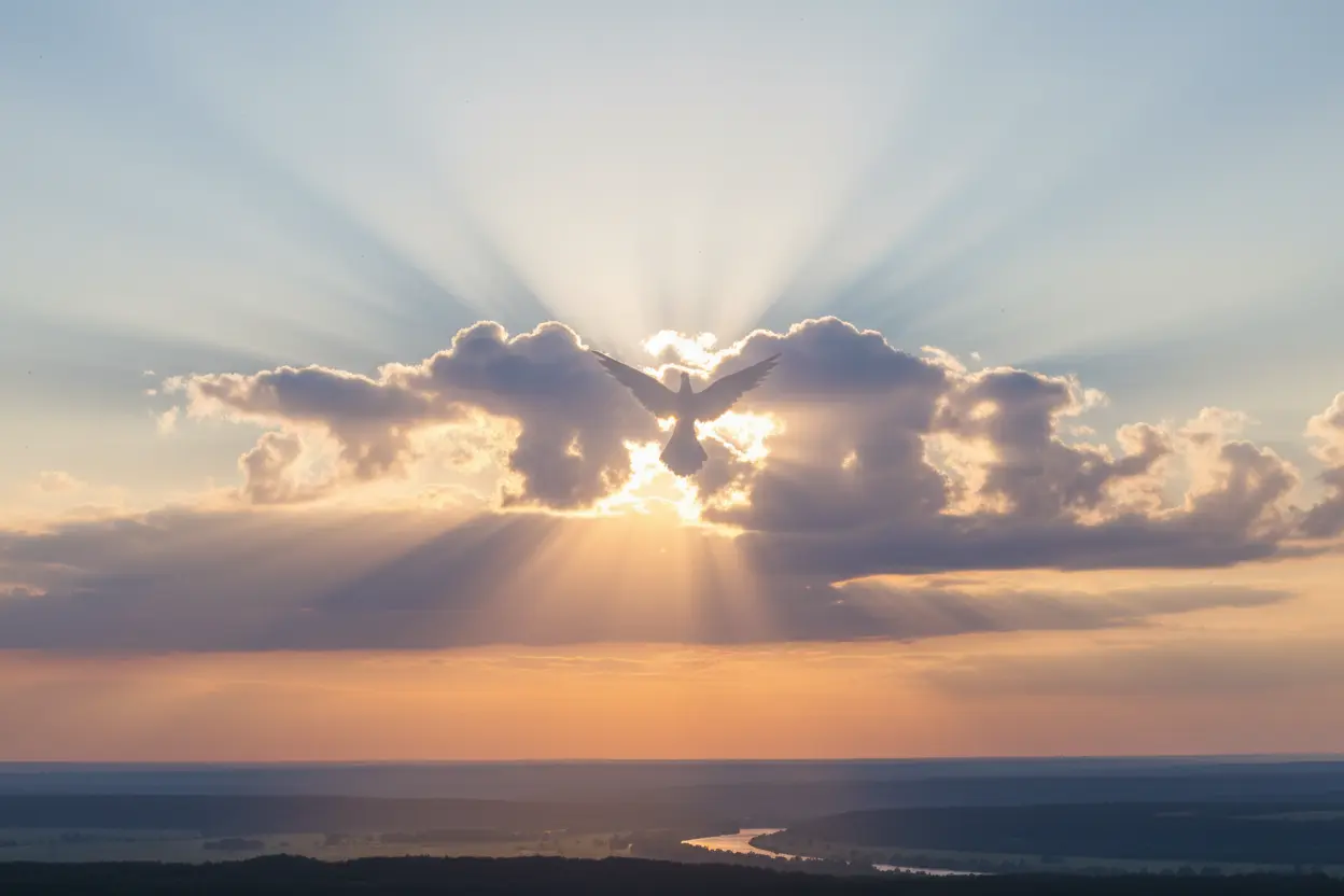 Uma pomba a frente do por do sol.