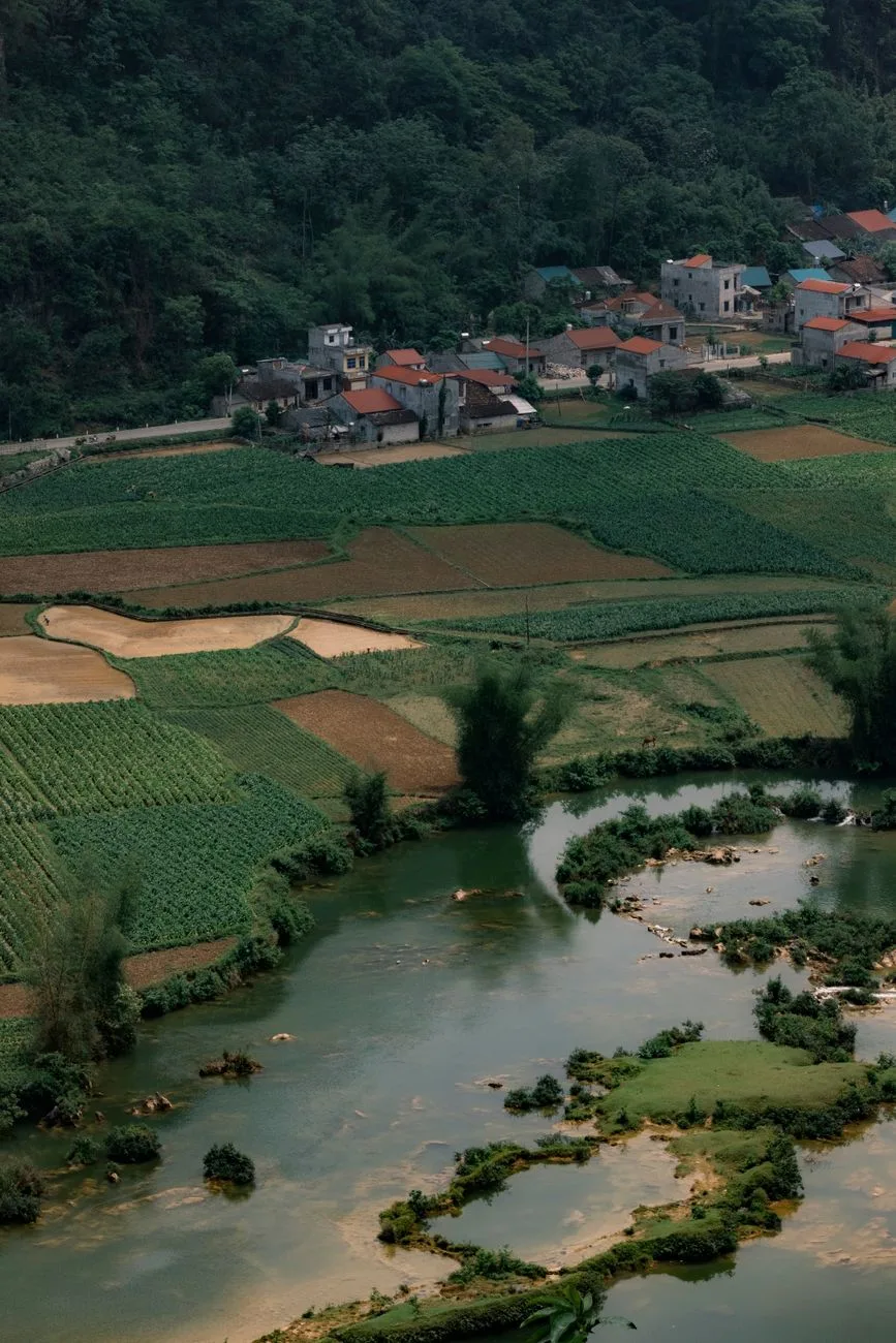 Força no Caos Paz na Alma